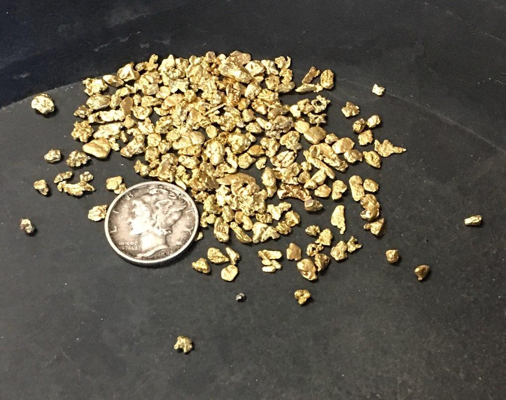 Complete Gold Panning Kit With 1 LB Gold Paydirt, 10" Gold Pan, Snuffer Bottle, & Vial